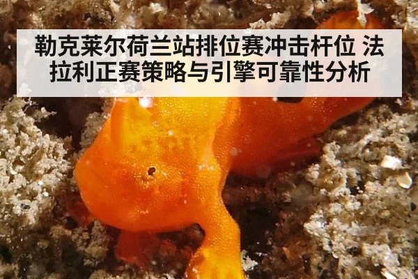 勒克莱尔荷兰站排位赛冲击杆位 法拉利正赛策略与引擎可靠性分析（jiuyouhui）